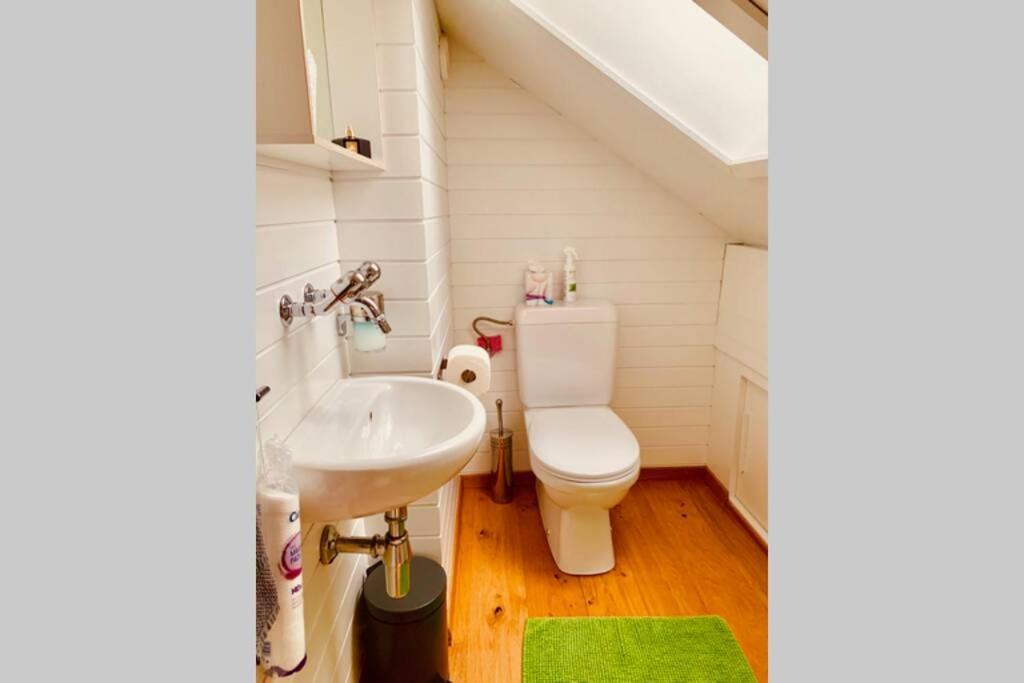 Charmant Et Lumineux Appartement Duplex A Charmey Kültér fotó
